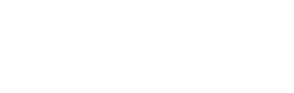 DENT Instruments