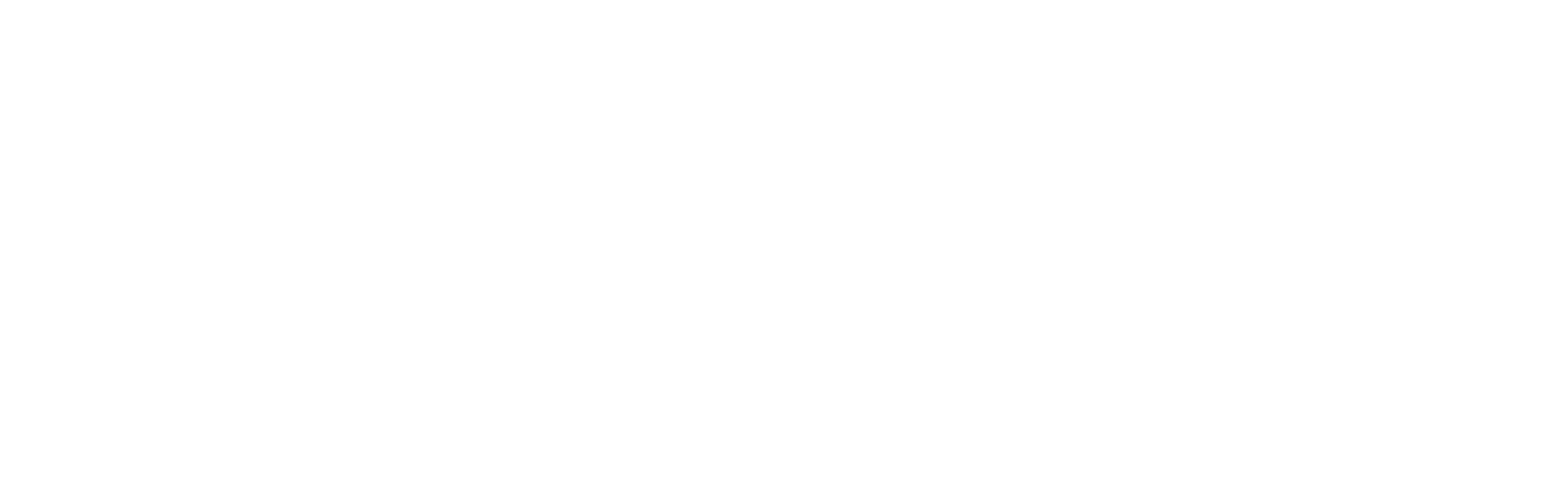 DENT Instruments